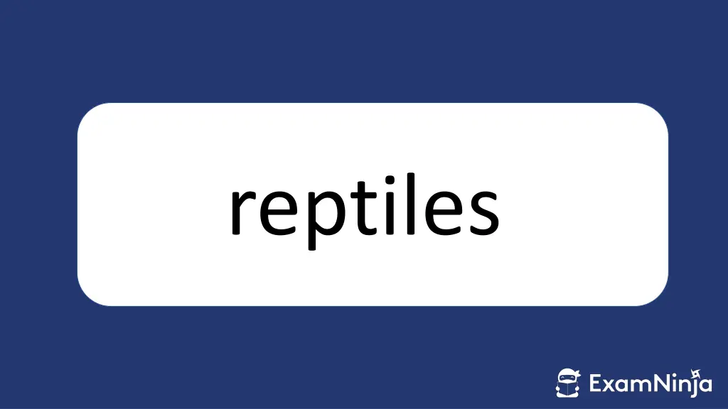 reptiles