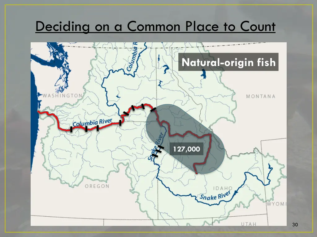 deciding on a common place to count