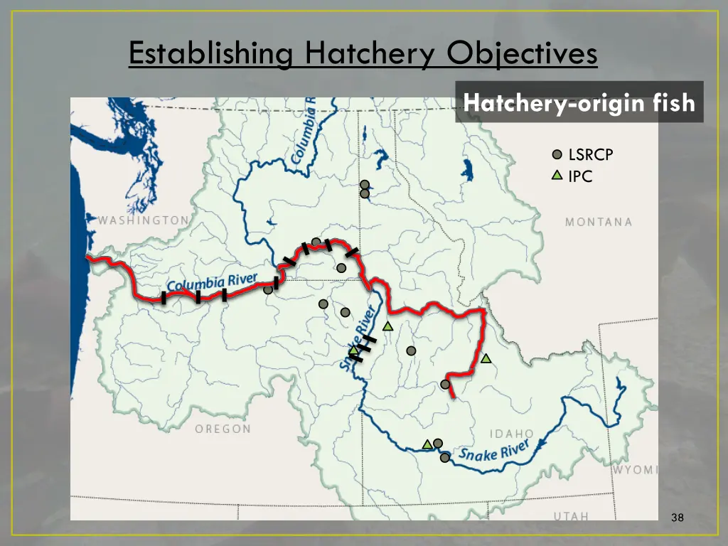 establishing hatchery objectives 1