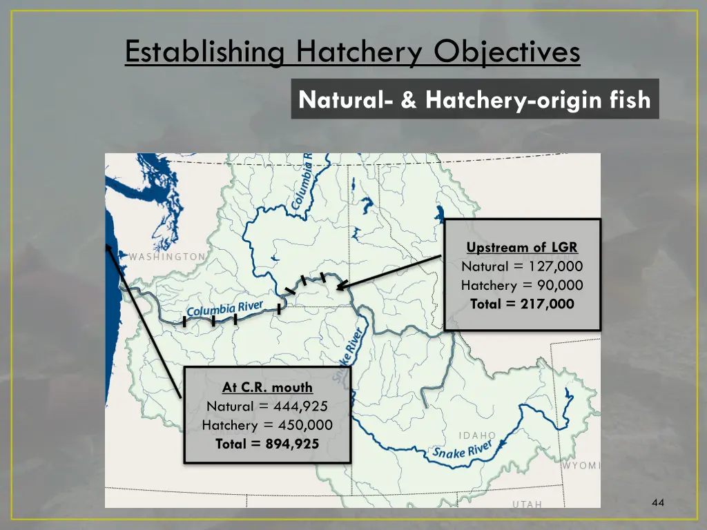 establishing hatchery objectives 7