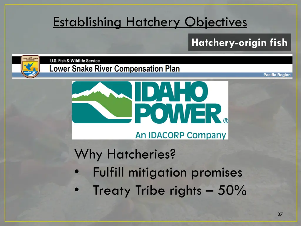 establishing hatchery objectives