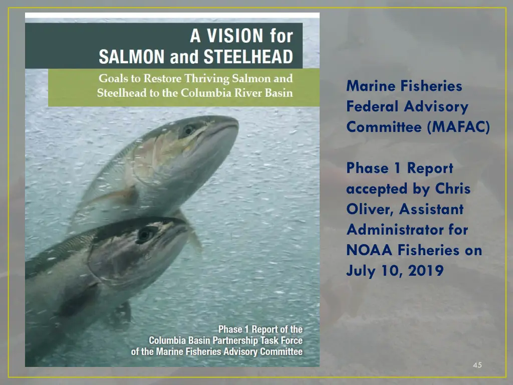 marine fisheries federal advisory committee mafac