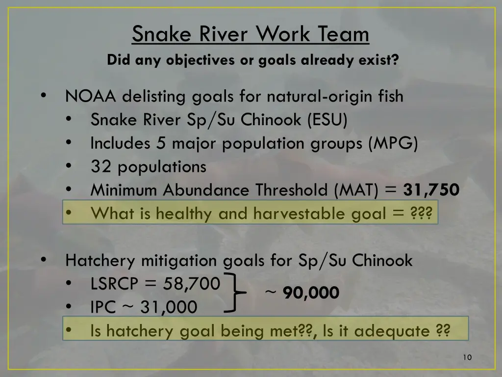 snake river work team did any objectives or goals