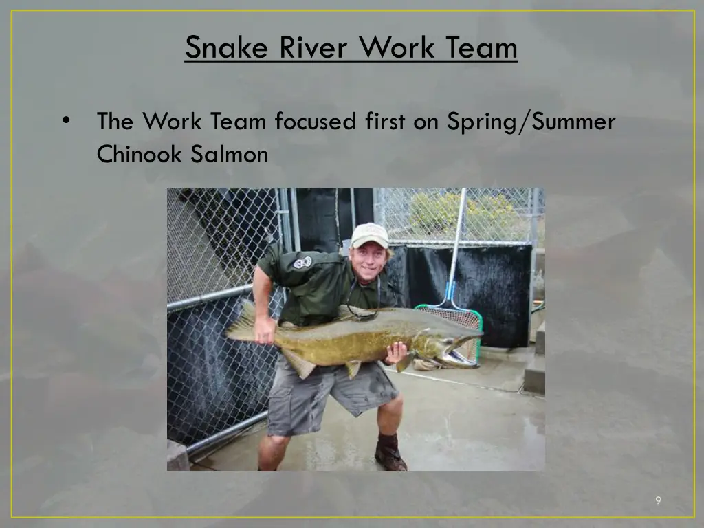 snake river work team