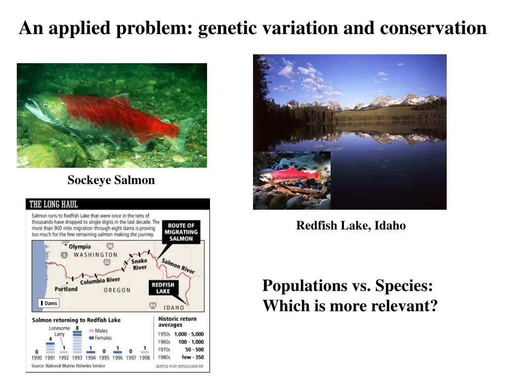 an applied problem genetic variation