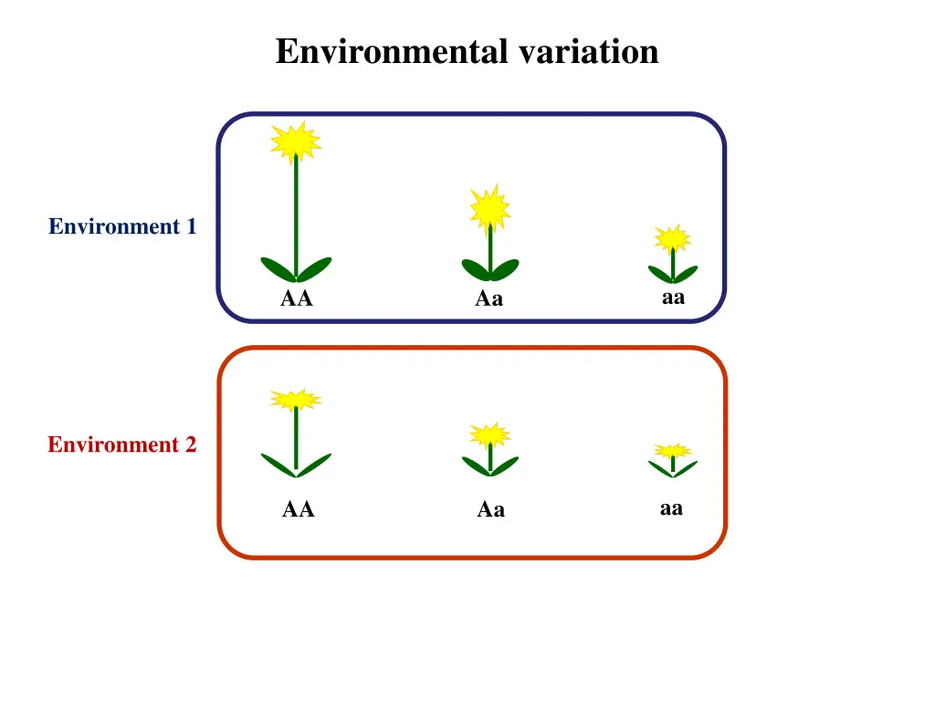 environmental variation