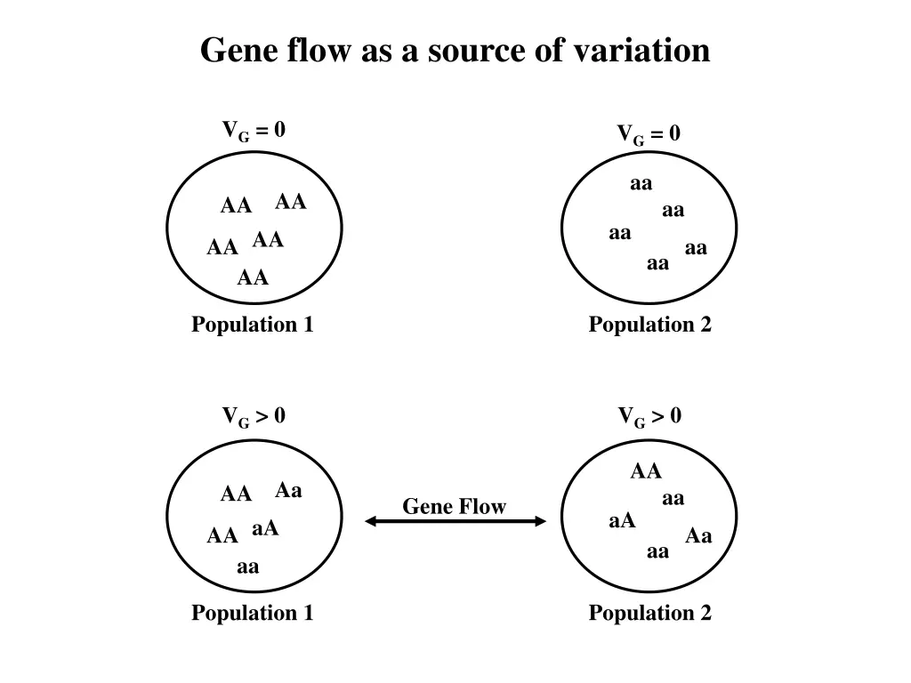 gene flow as a source of variation