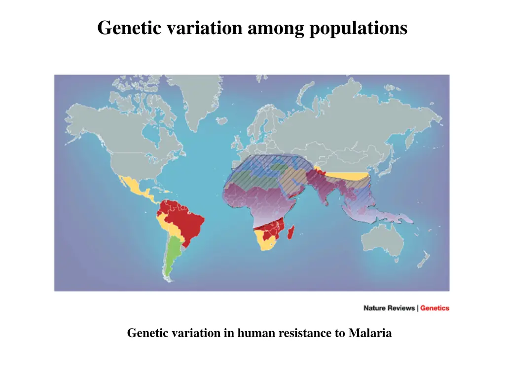 genetic variation among populations