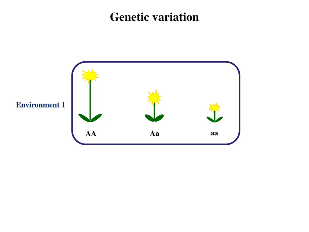 genetic variation