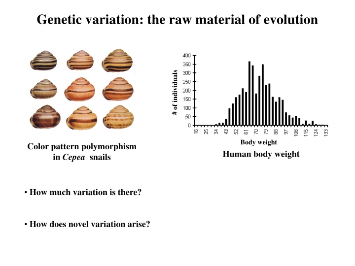 genetic variation the raw material of evolution