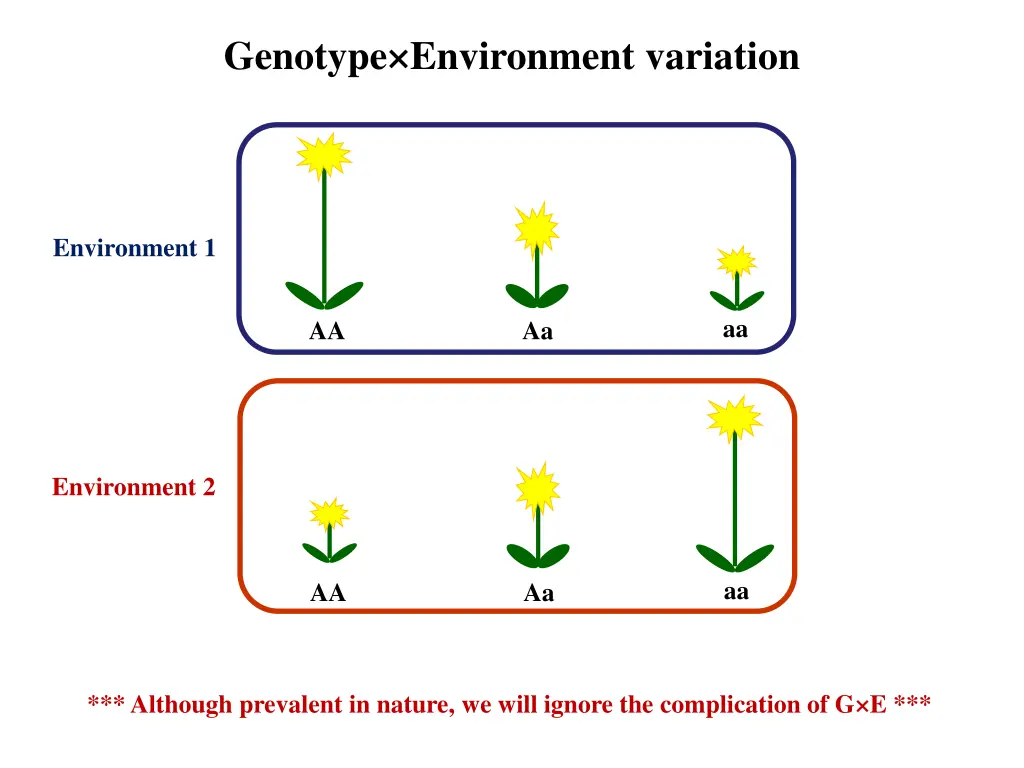 genotype environment variation