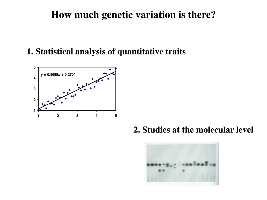 how much genetic variation is there