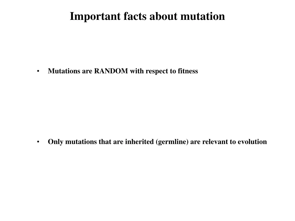 important facts about mutation