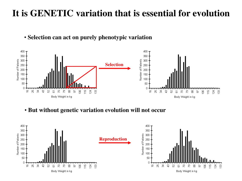 it is genetic variation that is essential