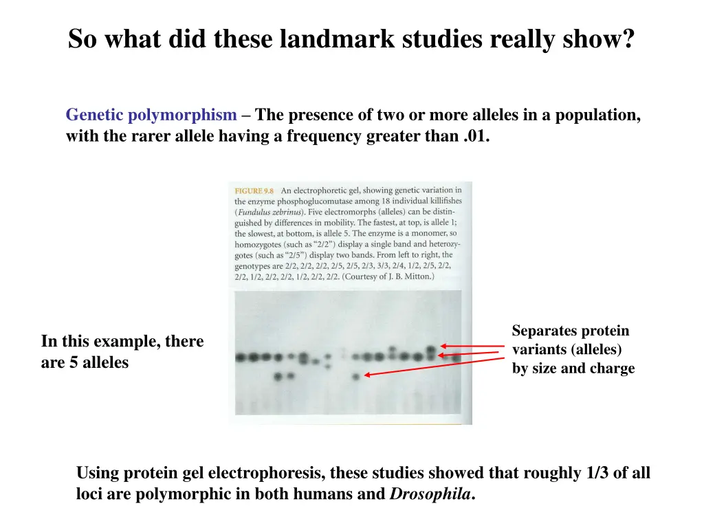 so what did these landmark studies really show