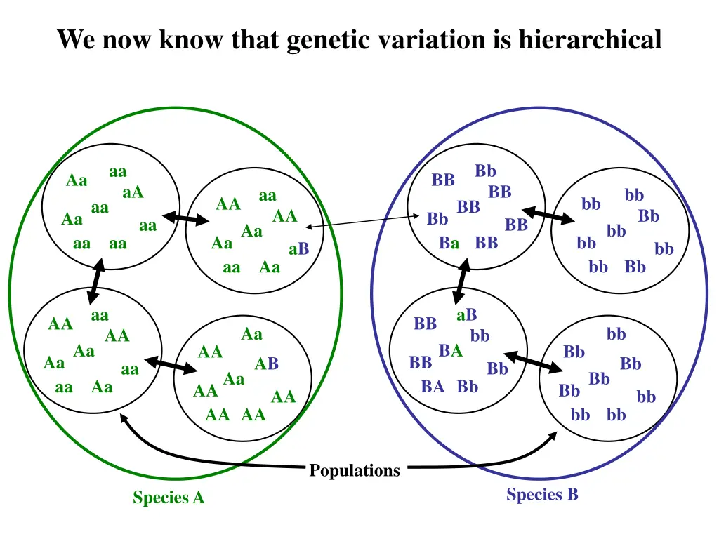 we now know that genetic variation is hierarchical