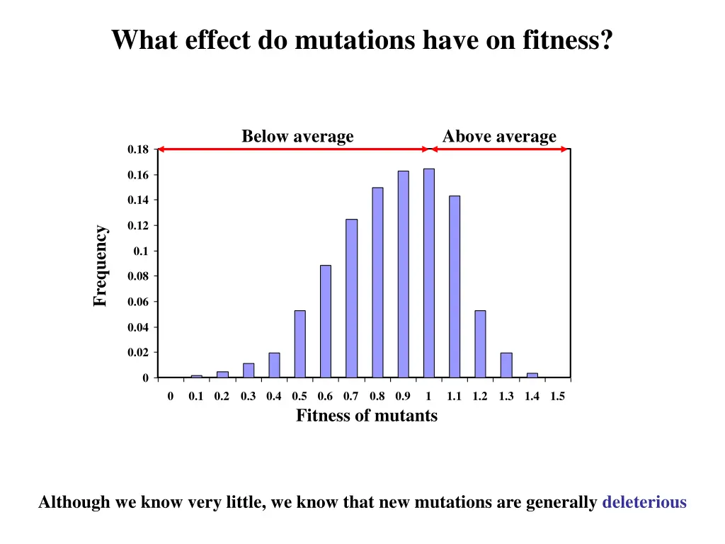 what effect do mutations have on fitness