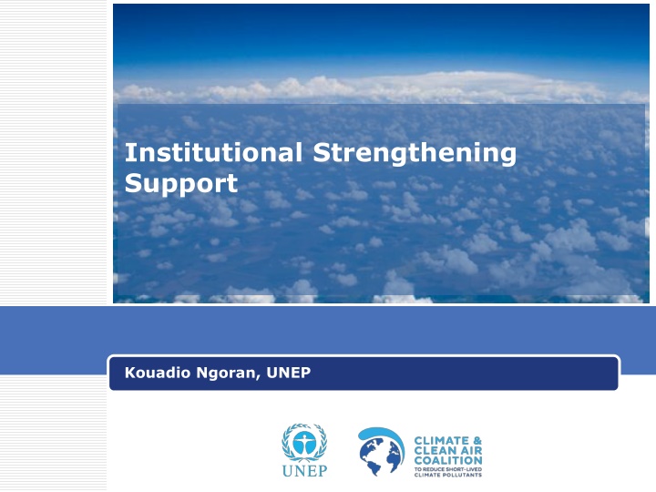 institutional strengthening support