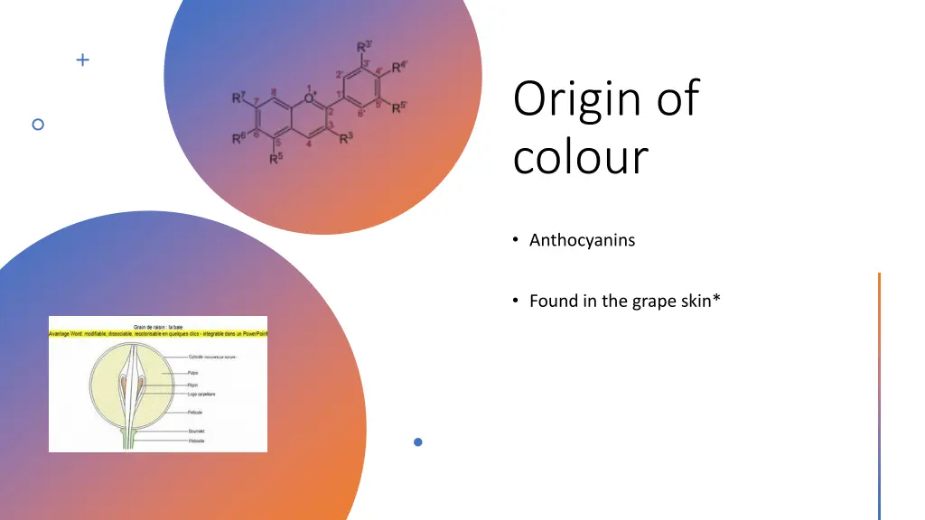 origin of colour