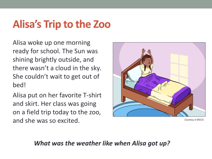 alisa s trip to the zoo