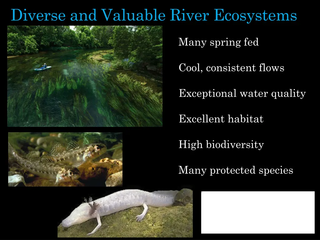 diverse and valuable river ecosystems