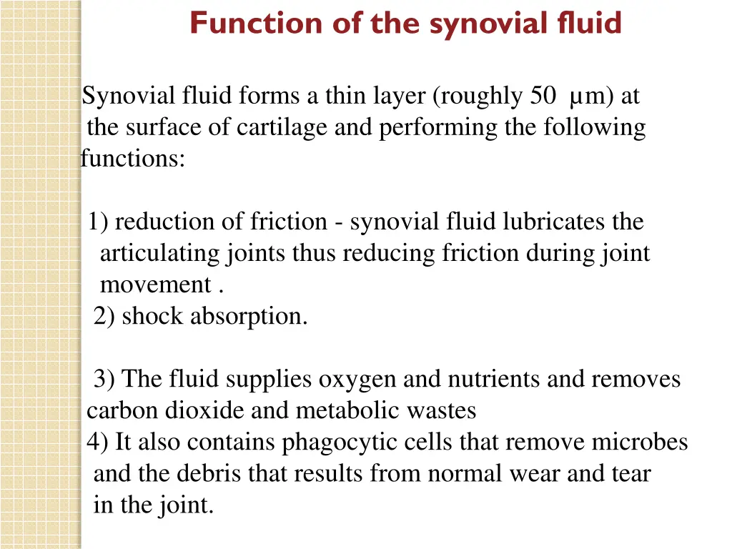 function of the synovial fluid