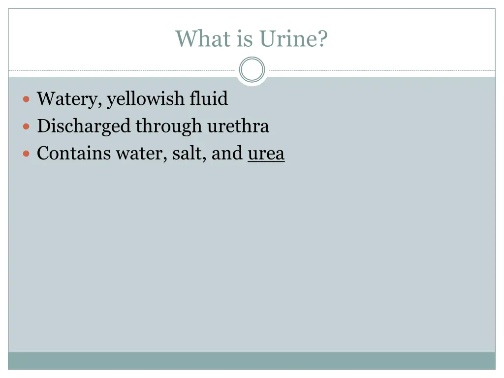 what is urine