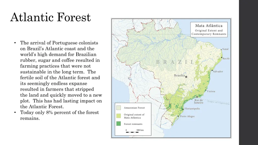 atlantic forest