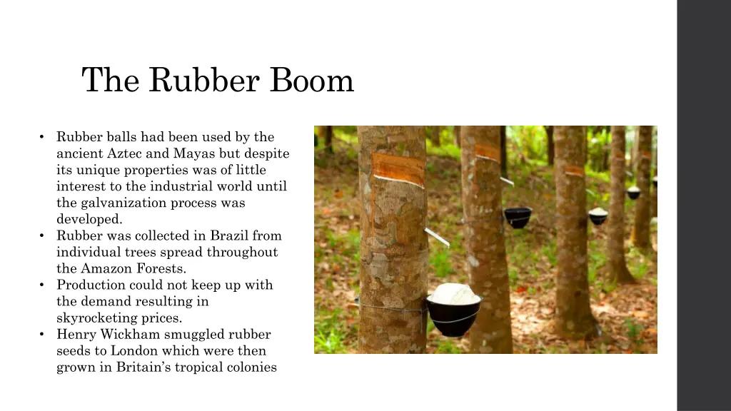 the rubber boom