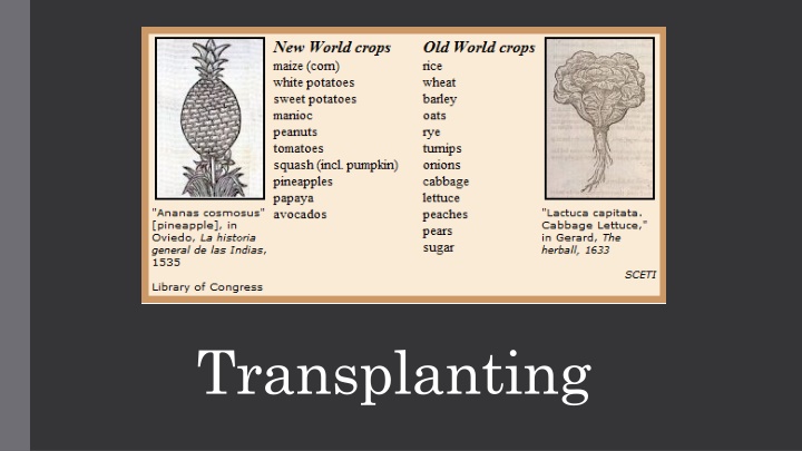 transplanting