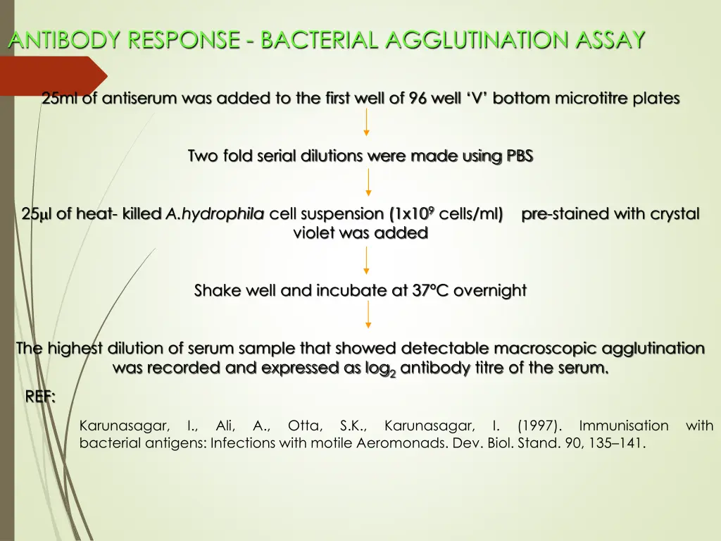 antibody response bacterial agglutination assay