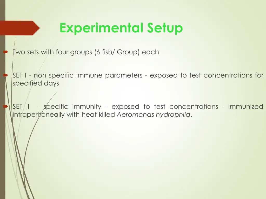 experimental setup