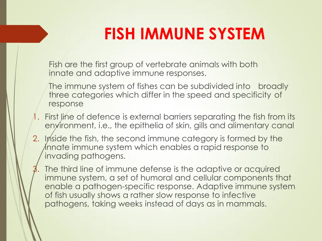 fish immune system