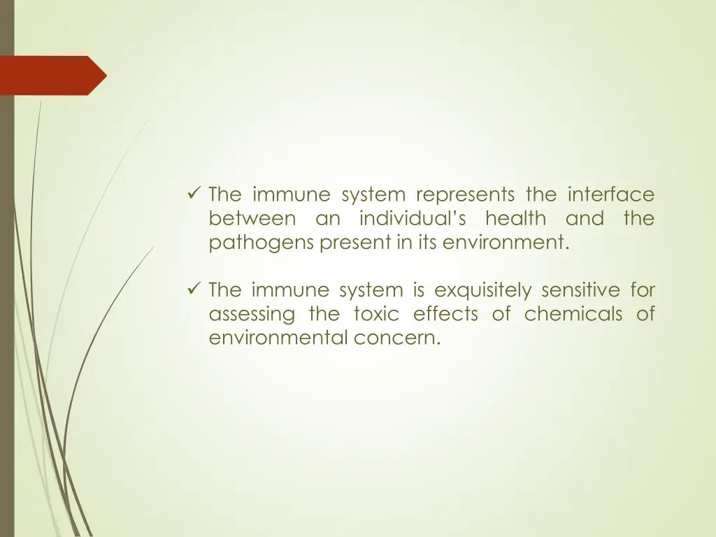 the immune system represents the interface