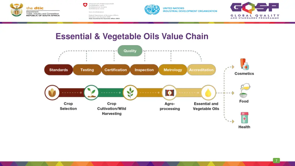 essential vegetable oils value chain