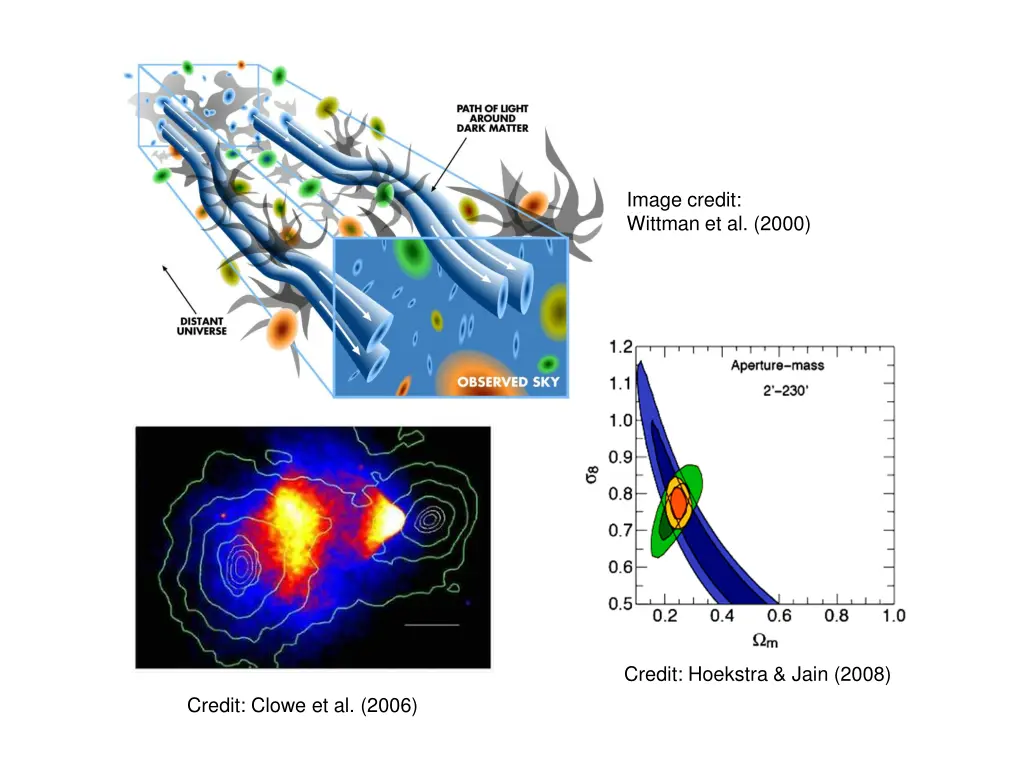 image credit wittman et al 2000