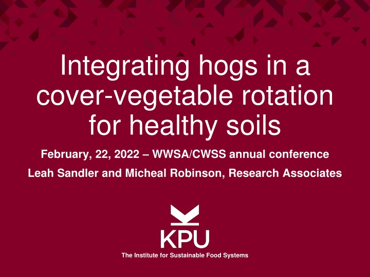 integrating hogs in a cover vegetable rotation