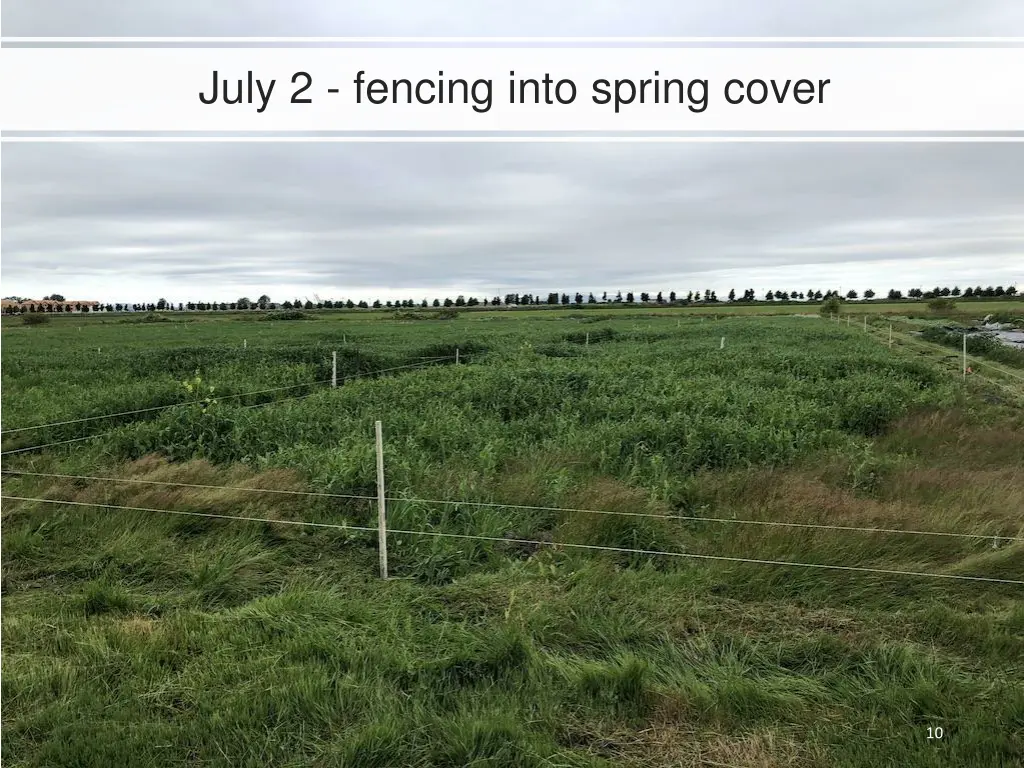 july 2 fencing into spring cover