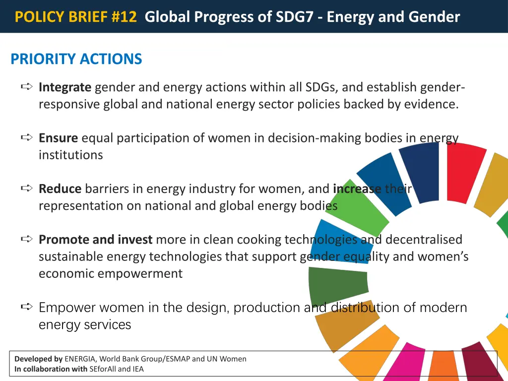 policy brief 12 global progress of sdg7 energy 1