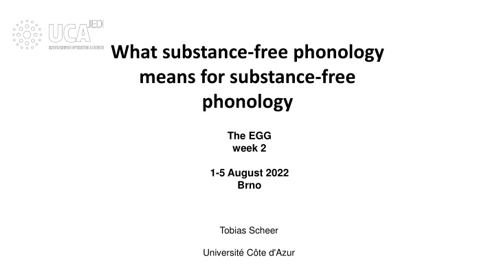 what substance free phonology means for substance