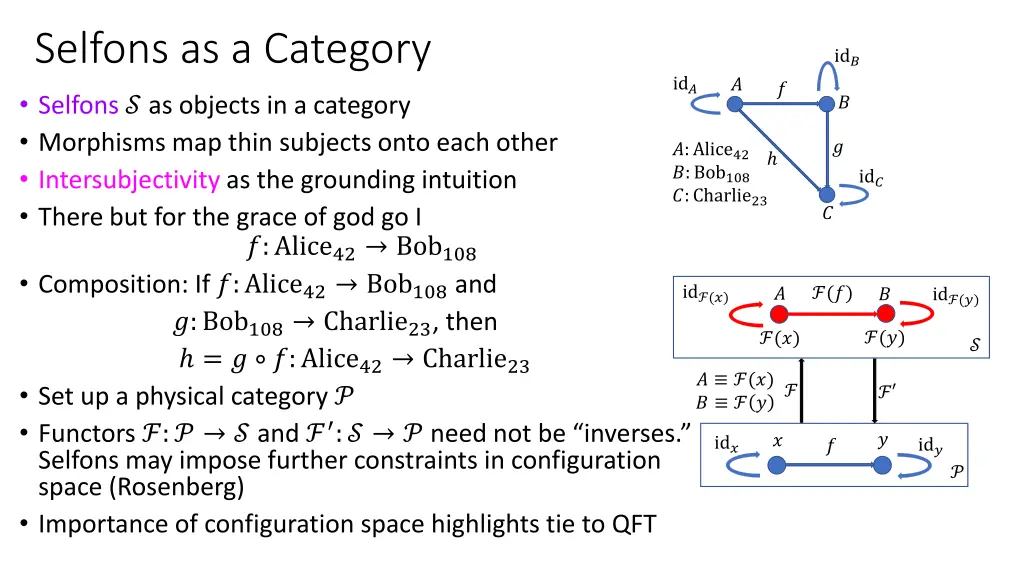 selfons as a category