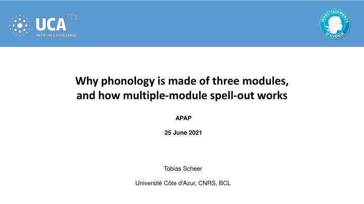 why phonology is made of three modules