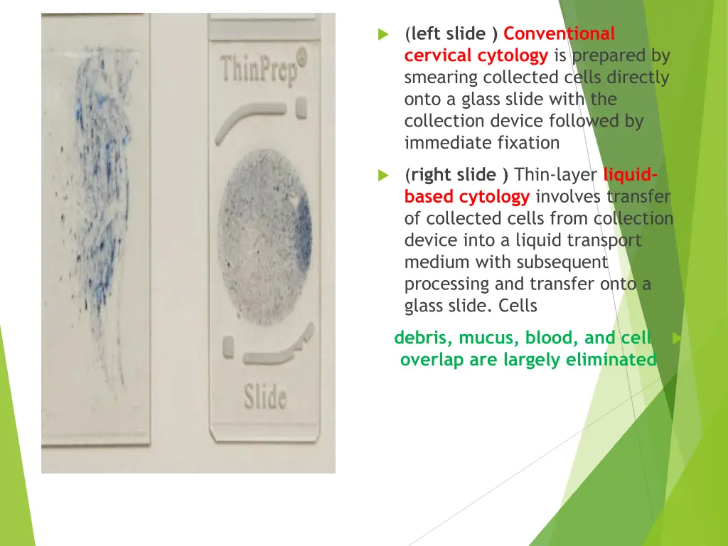 left slide conventional cervical cytology