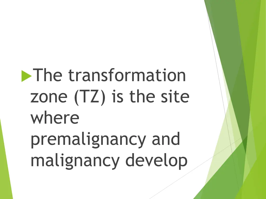 the transformation zone tz is the site where