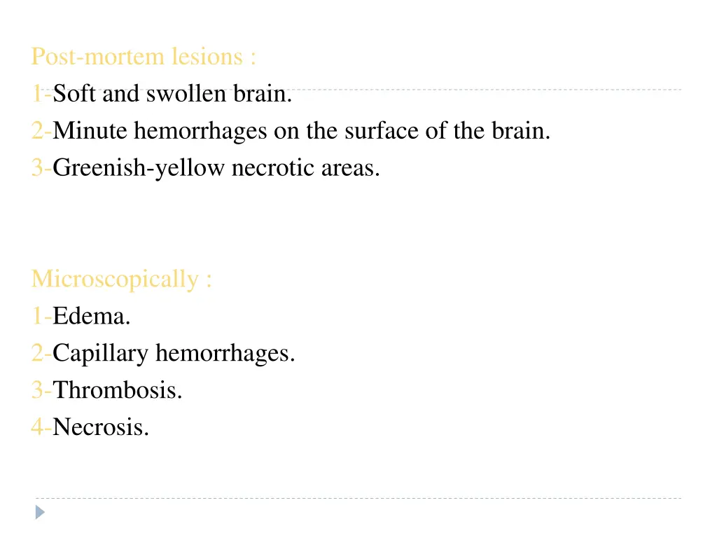 post mortem lesions 1 soft and swollen brain