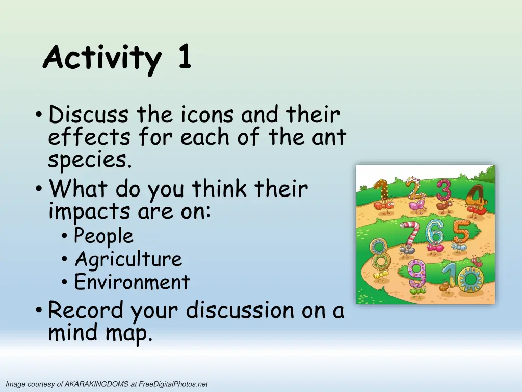 activity 1