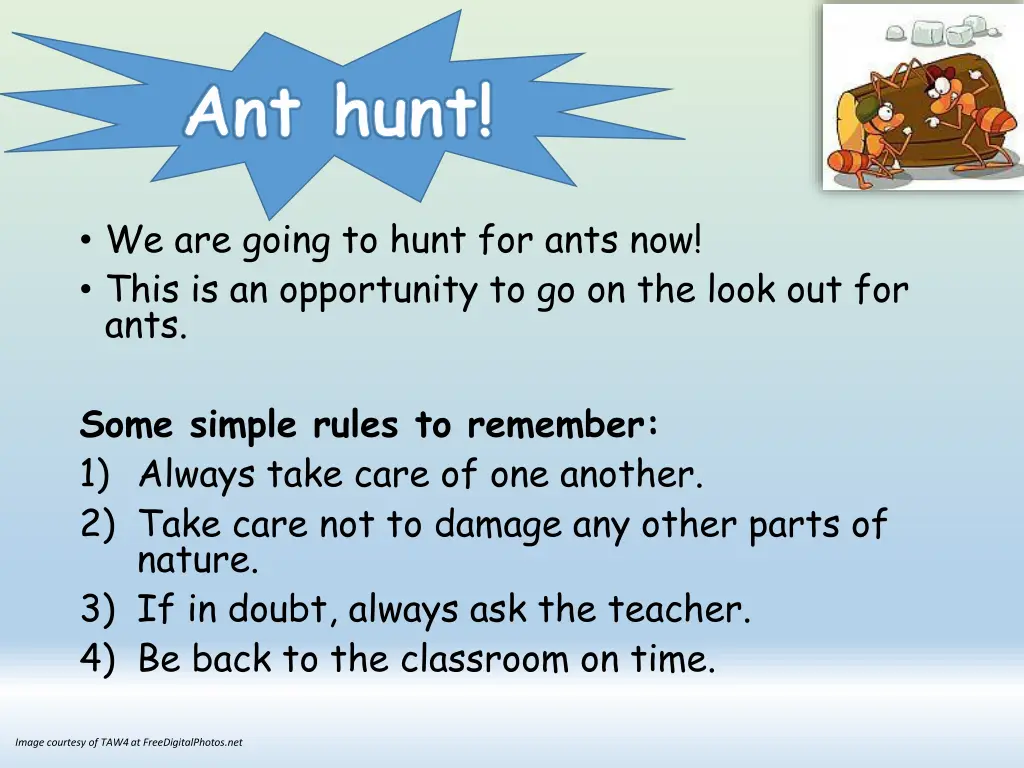 ant hunt