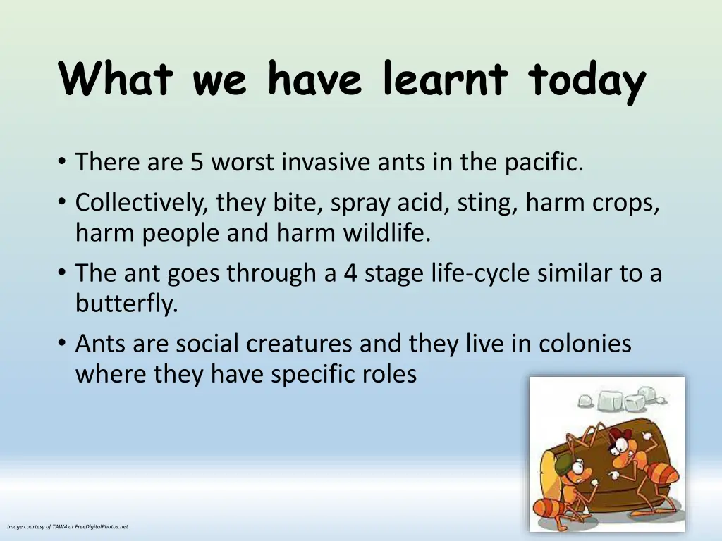 what we have learnt today