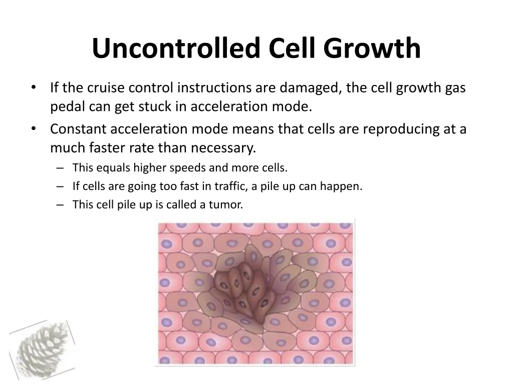 uncontrolled cell growth