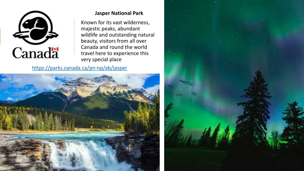 jasper national park